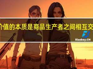 价值的本质是商品生产者之间相互交换劳动（相互交换配偶过夜）