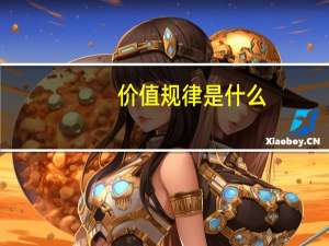 价值规律是什么