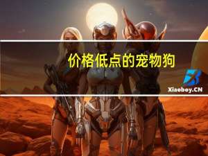 价格低点的宠物狗
