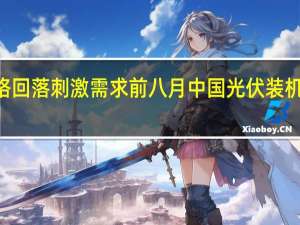 价格回落刺激需求 前八月中国光伏装机增超150%