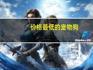 价格最低的宠物狗