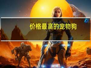 价格最高的宠物狗