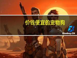 价钱便宜的宠物狗