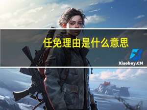 任免理由是什么意思（任免理由）