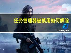 任务管理器被禁用如何解除（任务管理器被停用）