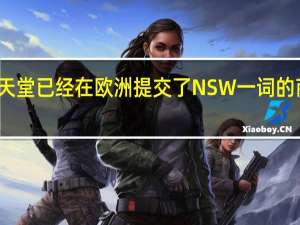 任天堂已经在欧洲提交了NSW一词的商标申请