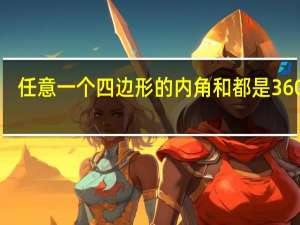 任意一个四边形的内角和都是360°吗