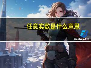 任意实数是什么意思