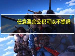 任意盈余公积可以不提吗