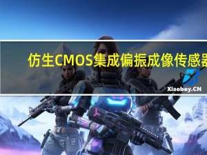 仿生CMOS集成偏振成像传感器