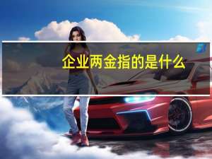 企业两金指的是什么