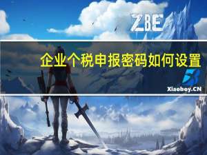 企业个税申报密码如何设置