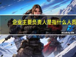 企业主要负责人是指什么人员（企业主要负责人是指）