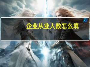 企业从业人数怎么填