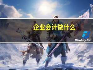 企业会计做什么