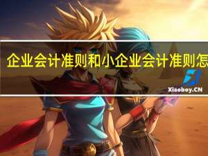 企业会计准则和小企业会计准则怎么选