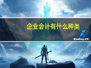 企业会计有什么种类