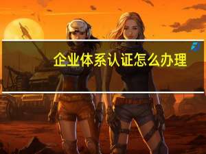 企业体系认证怎么办理
