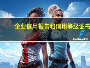 企业信用报告和信用等级证书（企业信用等级证书怎么申请）