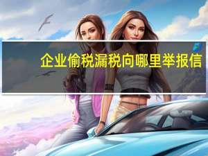 企业偷税漏税向哪里举报信