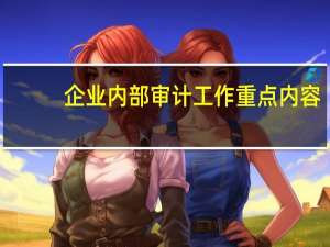 企业内部审计工作重点内容（企业内部审计）