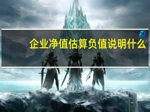 企业净值估算负值说明什么（净值估算负值说明什么）