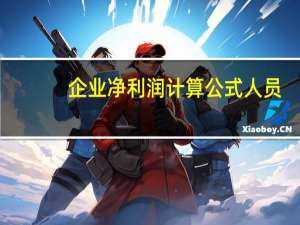 企业净利润计算公式 人员（企业净利润计算公式）