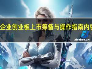 企业创业板上市筹备与操作指南内容简介