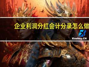 企业利润分红会计分录怎么做