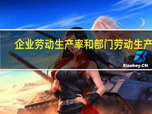 企业劳动生产率和部门劳动生产率（企业职工劳动生产率单位一般是什么 一般企业劳动生产率为多少_）