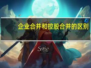 企业合并和控股合并的区别
