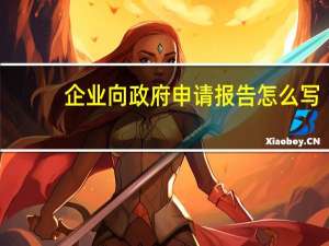 企业向政府申请报告怎么写（企业向政府申请报告）