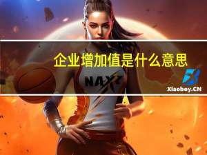 企业增加值是什么意思（企业增加值是什么）