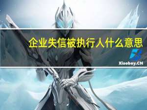 企业失信被执行人什么意思