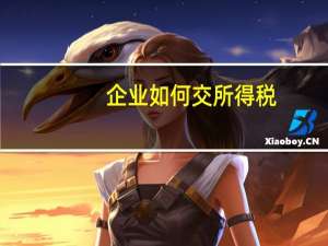 企业如何交所得税