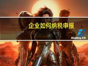 企业如何纳税申报