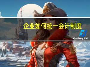 企业如何统一会计制度