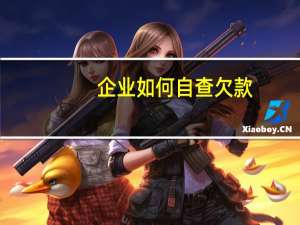 企业如何自查欠款