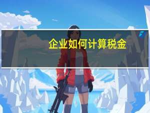 企业如何计算税金