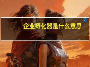 企业孵化器是什么意思