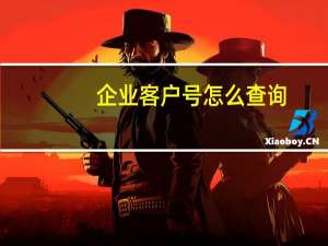 企业客户号怎么查询