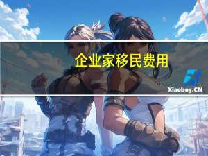 企业家移民费用