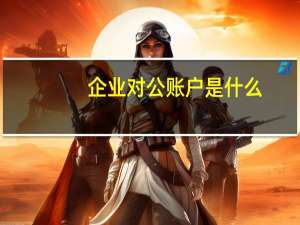 企业对公账户是什么