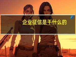 企业征信是干什么的