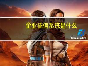 企业征信系统是什么