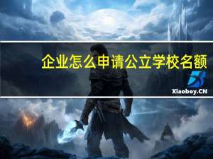 企业怎么申请公立学校名额