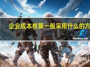 企业成本核算一般采用什么的方法