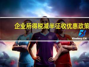 企业所得税减半征收优惠政策