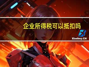 企业所得税可以抵扣吗