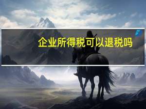 企业所得税可以退税吗